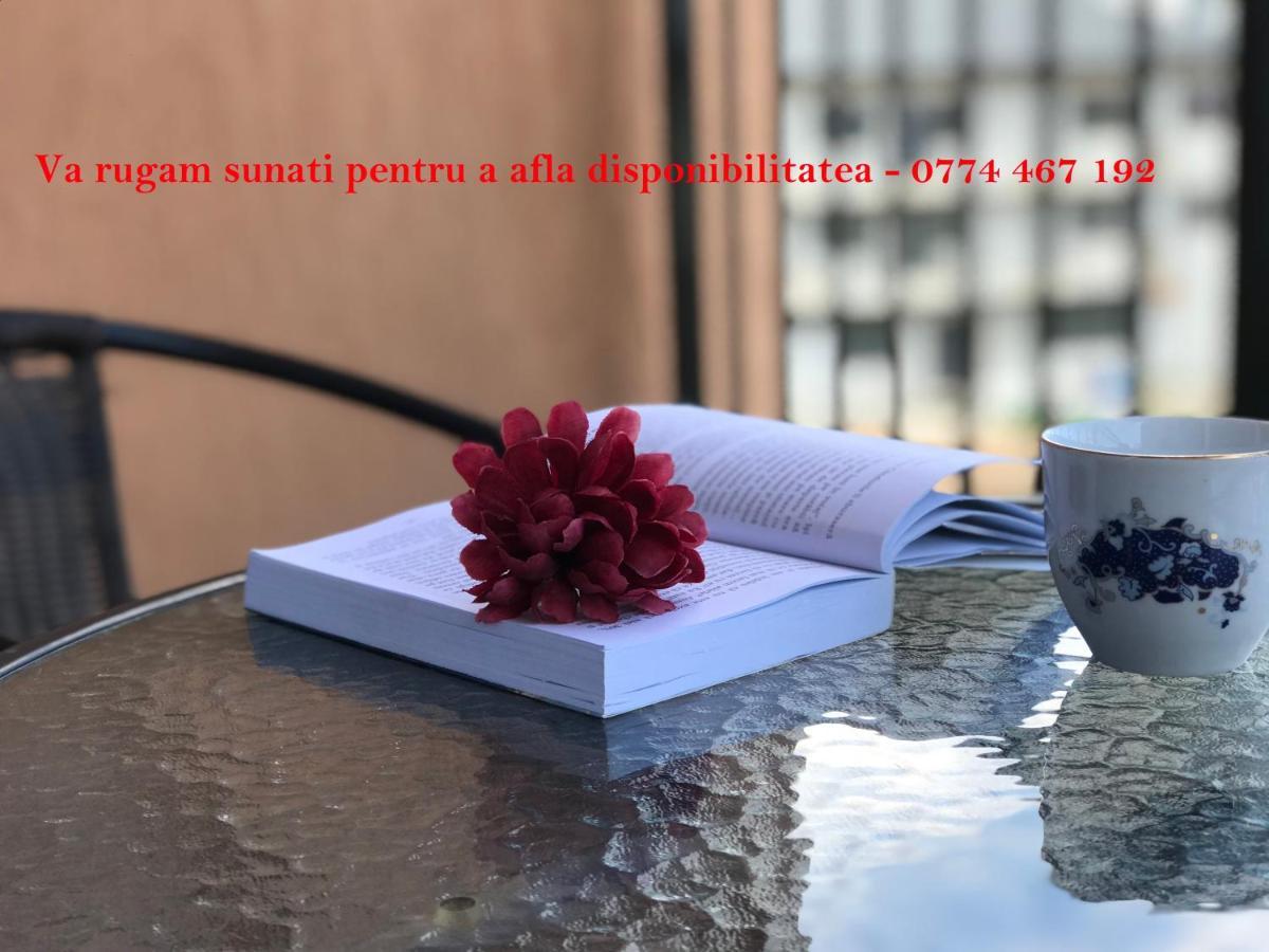 Năvodari La Bella Vita מראה חיצוני תמונה
